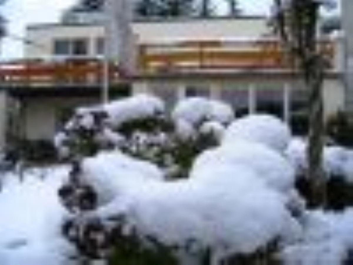 Pension Puschmann Chemnitz Exteriör bild